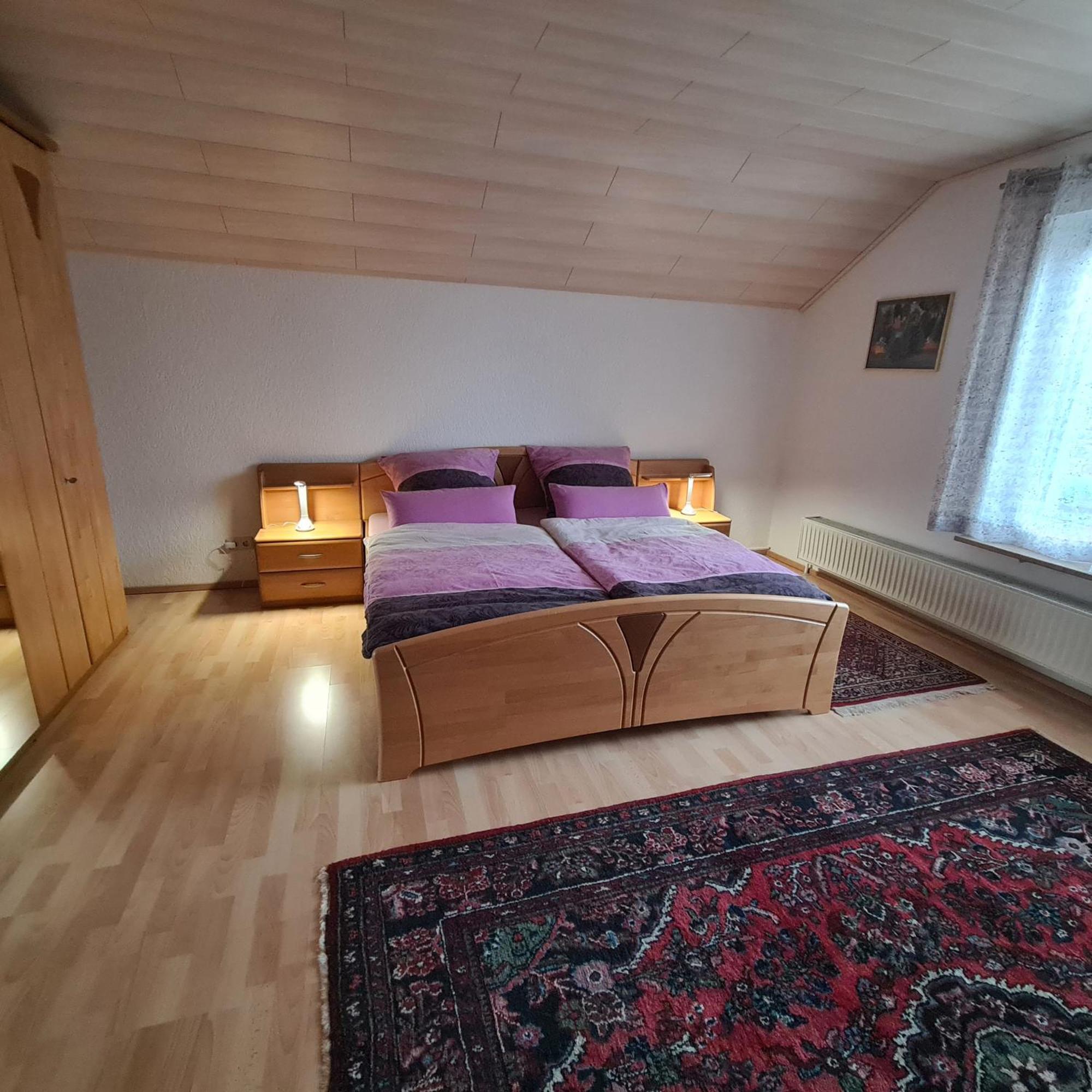 Gemuetliche 120 Qm Ferienwohnung Mit Balkon Adelsdorf Extérieur photo